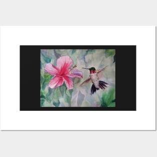 Pen and Ink Ruby Throated Hummingbird and Hibiscus Posters and Art